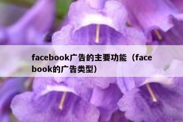 facebook广告的主要功能(facebook的广告类型) 第1张 facebook广告的主要功能(facebook的广告类型) 第1张