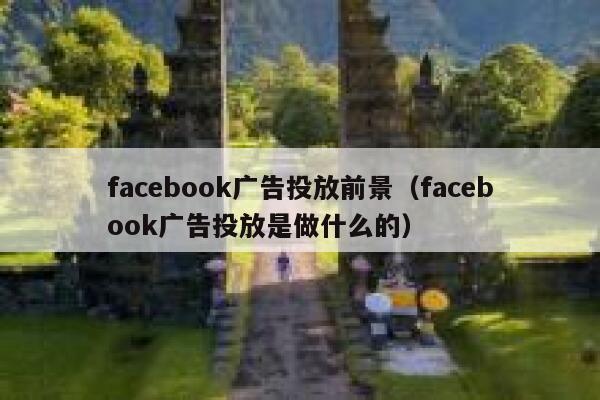 facebook广告投放前景（facebook广告投放是做什么的） 第1张
