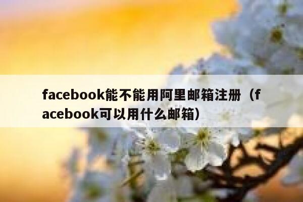 facebook能不能用阿里邮箱注册（facebook可以用什么邮箱） 第1张