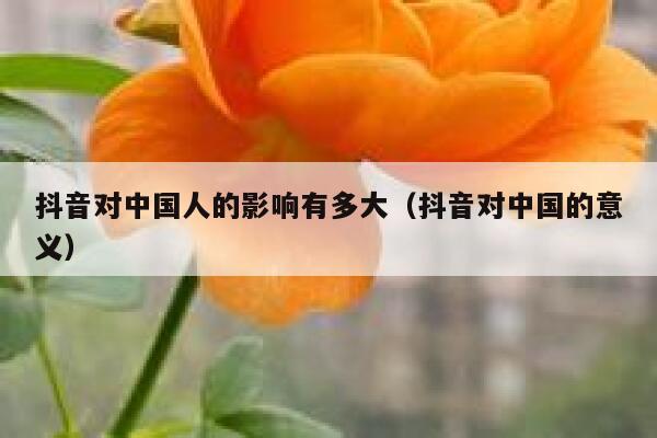 抖音对中国人的影响有多大（抖音对中国的意义） 第1张