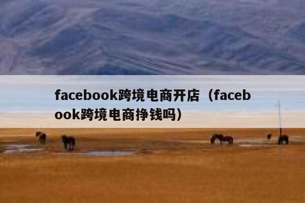 facebook跨境电商开店（facebook跨境电商挣钱吗） 第1张