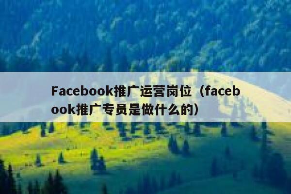 Facebook推广运营岗位（facebook推广专员是做什么的） 第1张