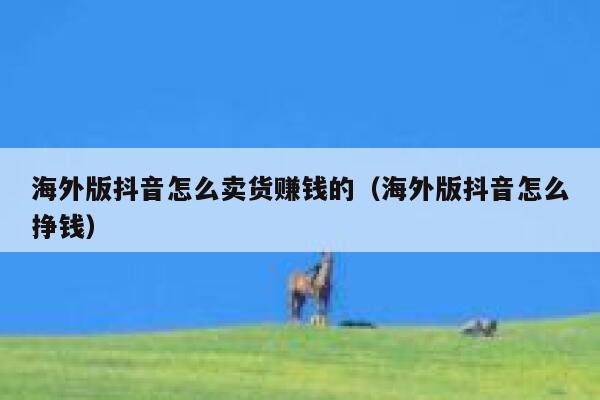 海外版抖音怎么卖货赚钱的（海外版抖音怎么挣钱） 第1张
