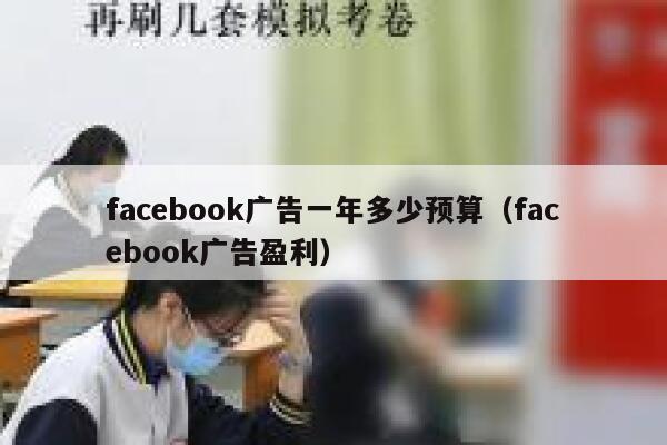 facebook广告一年多少预算（facebook广告盈利） 第1张