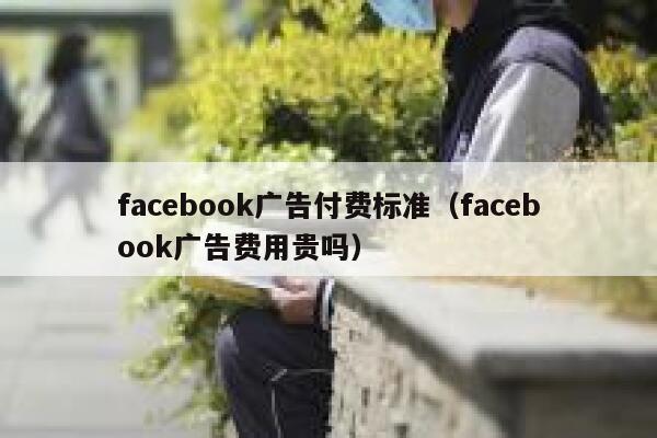 facebook广告付费标准(facebook广告费用贵吗) 第1张 facebook广告付费标准(facebook广告费用贵吗) 第1张