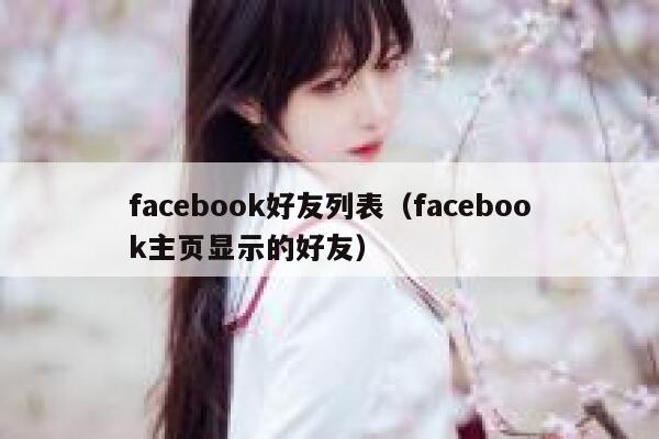 facebook好友列表（facebook主页显示的好友） 第1张