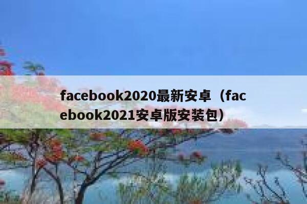 facebook2020最新安卓（facebook2021安卓版安装包） 第1张