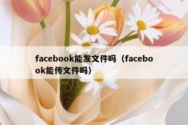 facebook能发文件吗（facebook能传文件吗） 第1张