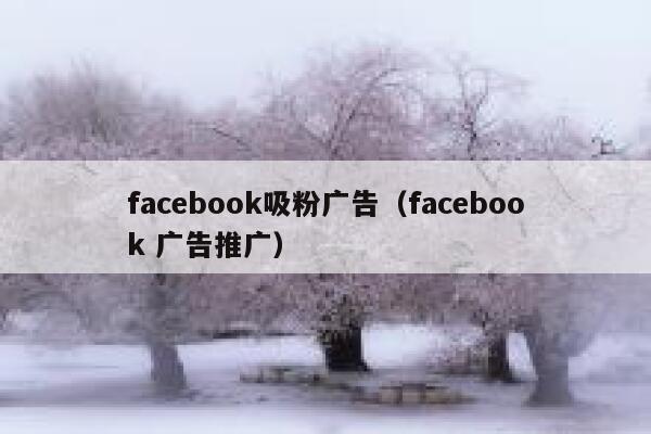 facebook吸粉广告（facebook 广告推广） 第1张