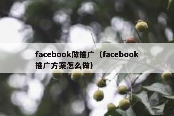 facebook做推广(facebook推广方案怎么做) 第1张 facebook做推广(facebook推广方案怎么做) 第1张