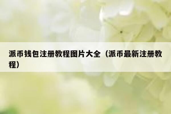 派币钱包注册教程图片大全(派币最新注册教程) 第1张 派币钱包注册教程图片大全(派币最新注册教程) 第1张