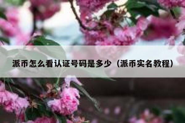 派币怎么看认证号码是多少（派币实名教程） 第1张