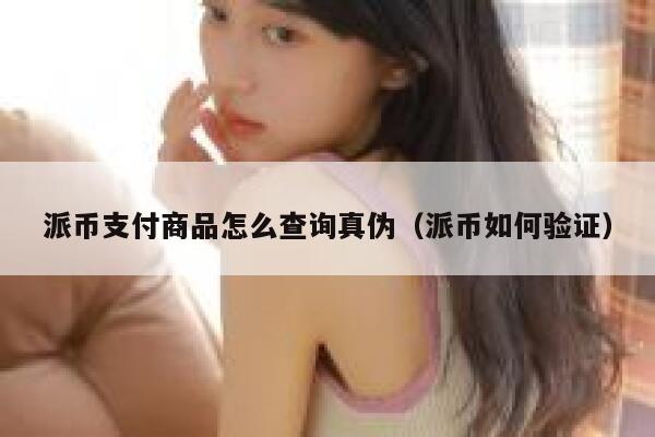 派币支付商品怎么查询真伪（派币如何验证） 第1张