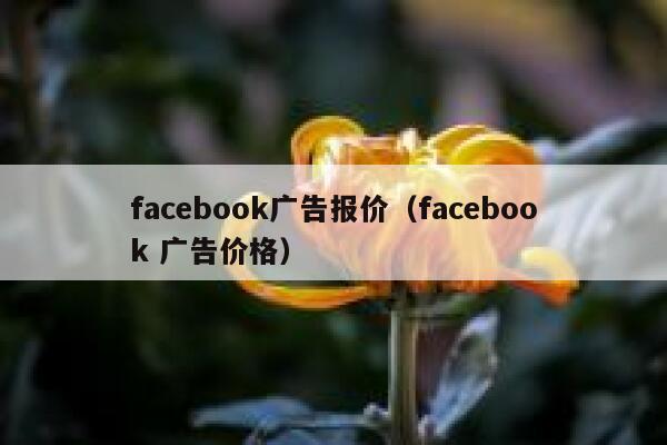 facebook广告报价（facebook 广告价格） 第1张