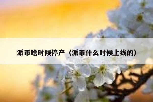 派币啥时候停产（派币什么时候上线的） 第1张