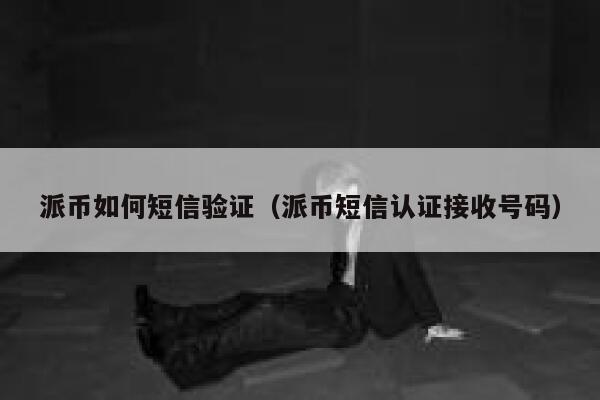 派币如何短信验证（派币短信认证接收号码） 第1张