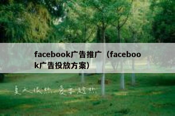 facebook广告推广（facebook广告投放方案） 第1张