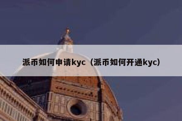 派币如何申请kyc(派币如何开通kyc) 第1张 派币如何申请kyc(派币如何开通kyc) 第1张