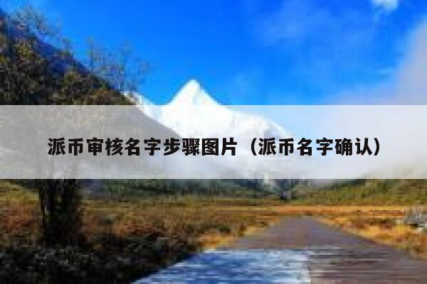 派币审核名字步骤图片(派币名字确认) 第1张 派币审核名字步骤图片(派币名字确认) 第1张