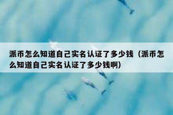 派币怎么知道自己实名认证了多少钱（派币怎么知道自己实名认证了多少钱啊） 第1张