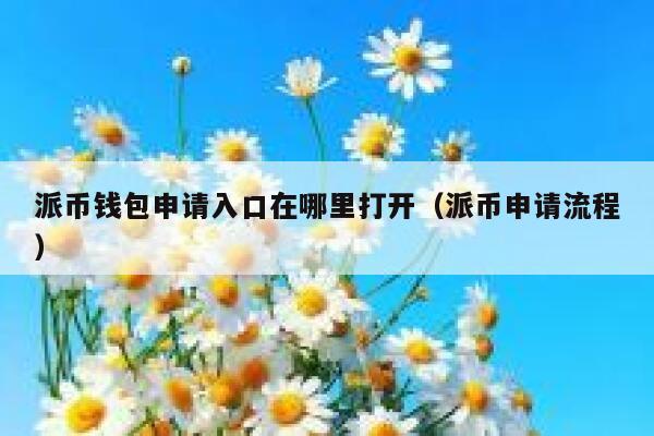 派币钱包申请入口在哪里打开（派币申请流程） 第1张