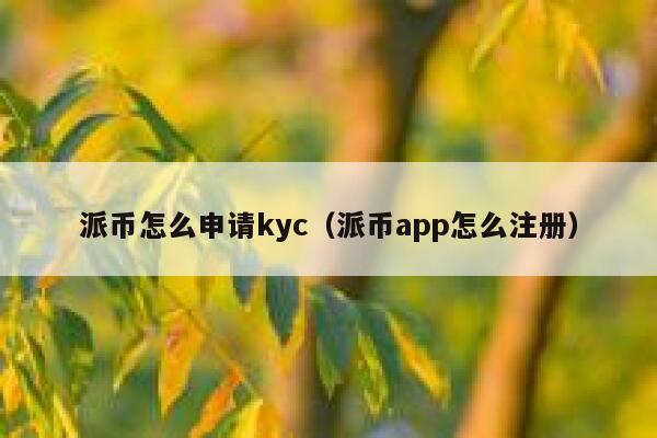 派币怎么申请kyc(派币app怎么注册) 第1张 派币怎么申请kyc(派币app怎么注册) 第1张