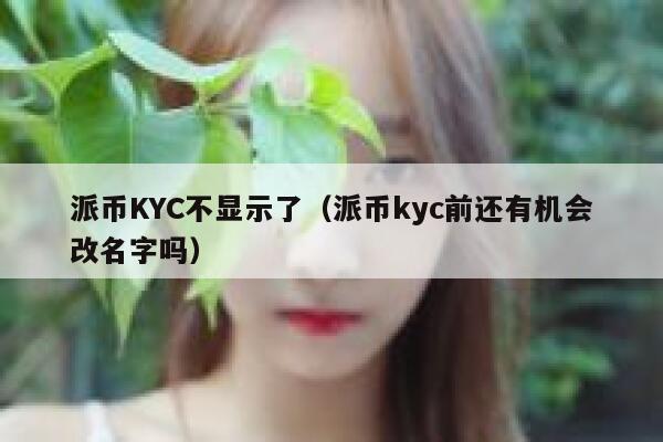 派币KYC不显示了（派币kyc前还有机会改名字吗） 第1张