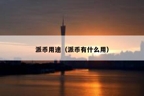 派币用途（派币有什么用） 第1张