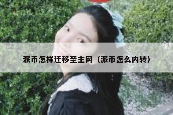 派币怎样迁移至主网（派币怎么内转） 第1张