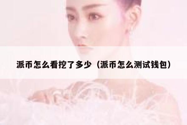 派币怎么看挖了多少（派币怎么测试钱包） 第1张