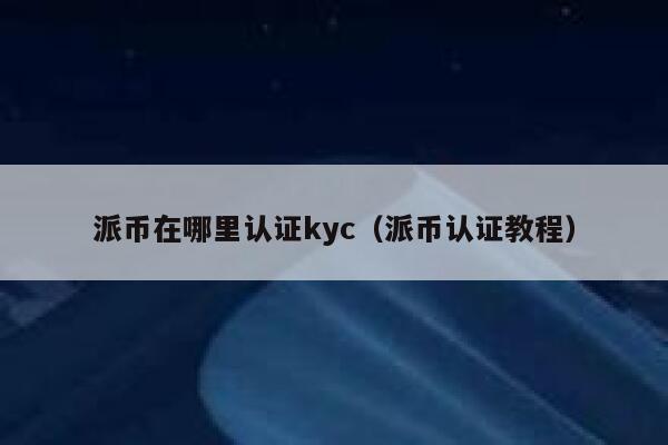 派币在哪里认证kyc（派币认证教程） 第1张