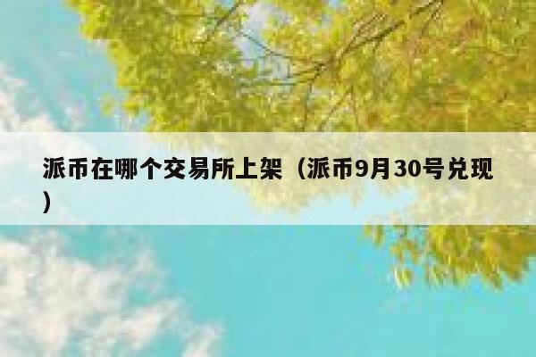 派币在哪个交易所上架(派币9月30号兑现) 第1张 派币在哪个交易所上架(派币9月30号兑现) 第1张