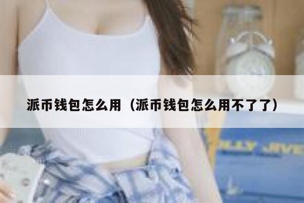 派币钱包怎么用(派币钱包怎么用不了了) 第1张 派币钱包怎么用(派币钱包怎么用不了了) 第1张