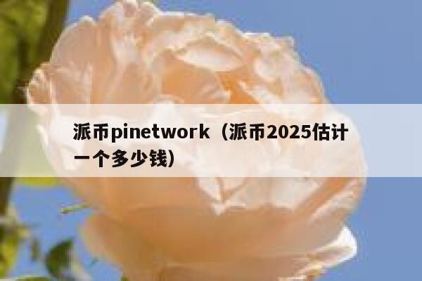 派币pinetwork(派币2025估计一个多少钱) 第1张 派币pinetwork(派币2025估计一个多少钱) 第1张