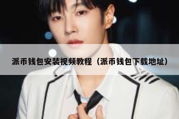 派币钱包安装视频教程（派币钱包下载地址） 第1张