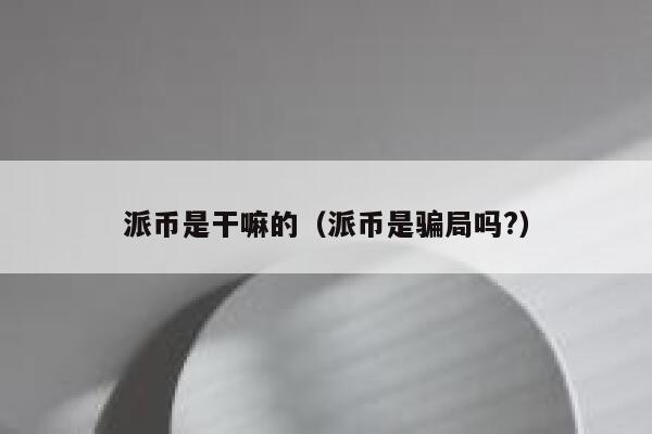 派币是干嘛的（派币是骗局吗?） 第1张