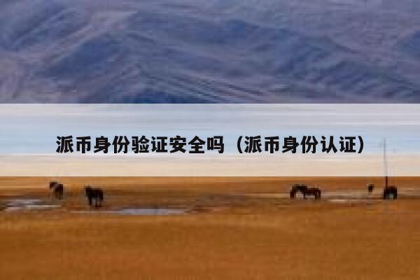派币身份验证安全吗（派币身份认证） 第1张