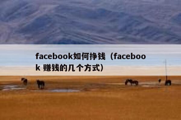 facebook如何挣钱(facebook 赚钱的几个方式) 第1张 facebook如何挣钱(facebook 赚钱的几个方式) 第1张