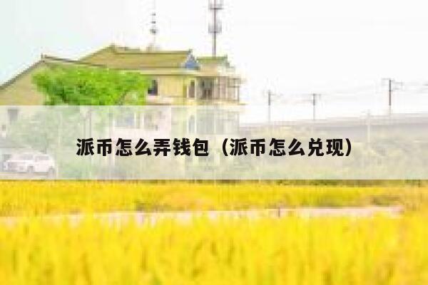 派币怎么弄钱包(派币怎么兑现) 第1张 派币怎么弄钱包(派币怎么兑现) 第1张