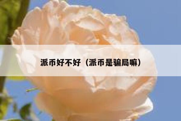 派币好不好(派币是骗局嘛) 第1张 派币好不好(派币是骗局嘛) 第1张