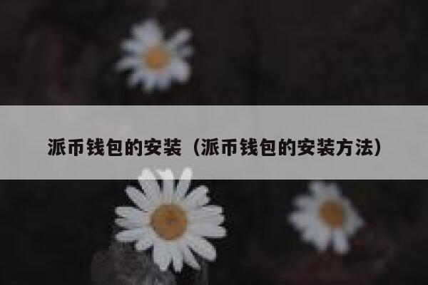 派币钱包的安装（派币钱包的安装方法） 第1张