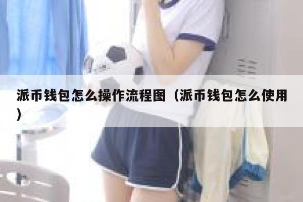 派币钱包怎么操作流程图(派币钱包怎么使用) 第1张 派币钱包怎么操作流程图(派币钱包怎么使用) 第1张