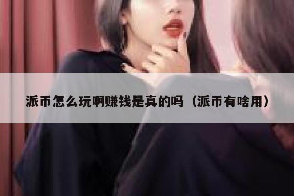 派币怎么玩啊赚钱是真的吗（派币有啥用） 第1张