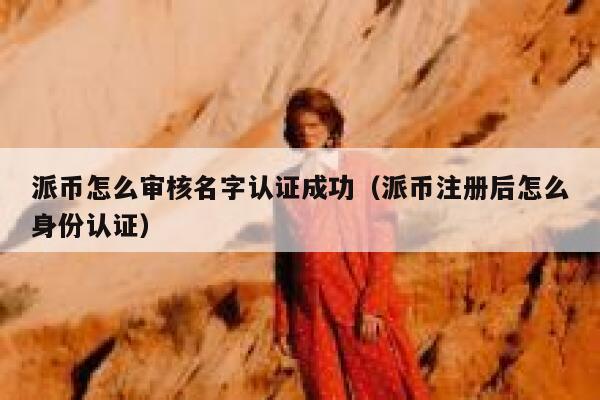 派币怎么审核名字认证成功(派币注册后怎么身份认证) 第1张 派币怎么审核名字认证成功(派币注册后怎么身份认证) 第1张