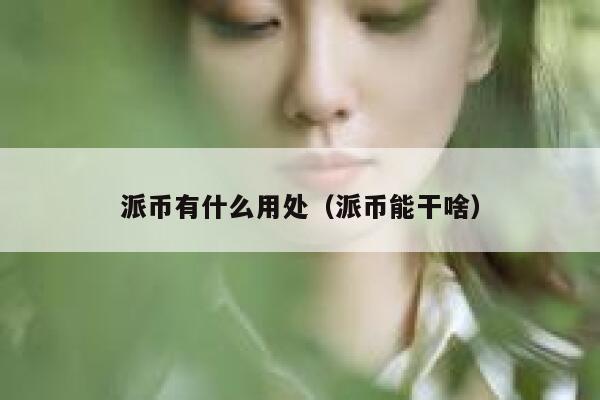 派币有什么用处（派币能干啥） 第1张