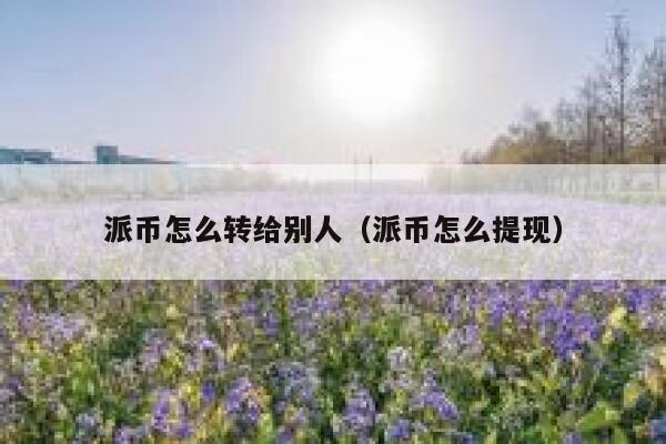 派币怎么转给别人(派币怎么提现) 第1张 派币怎么转给别人(派币怎么提现) 第1张