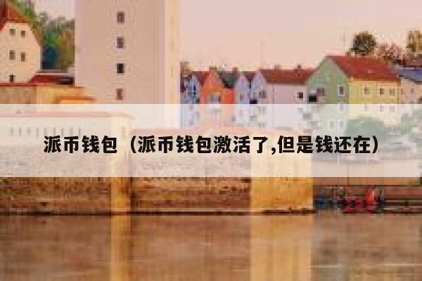 派币钱包(派币钱包激活了,但是钱还在) 第1张 派币钱包(派币钱包激活了,但是钱还在) 第1张