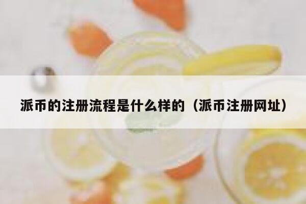 派币的注册流程是什么样的（派币注册网址） 第1张