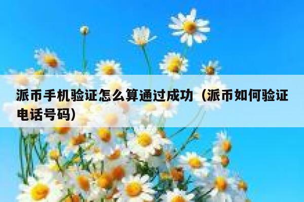 派币手机验证怎么算通过成功（派币如何验证电话号码） 第1张