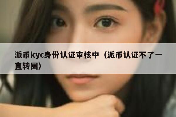 派币kyc身份认证审核中（派币认证不了一直转圈） 第1张
